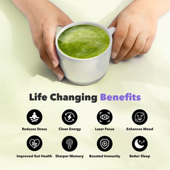 30 Servings of Matcha +